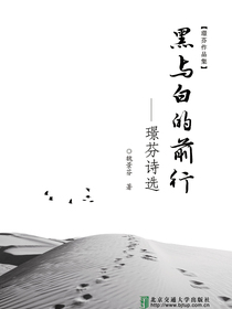 黑与白的前行——璟芬诗选