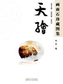 天绘：画面石珍藏图集