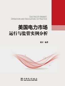 美国电力市场运行与监管实例分析