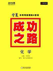 成功之路宁夏中考考前模拟8套卷.化学
