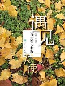 遇见：行走在人间的天使