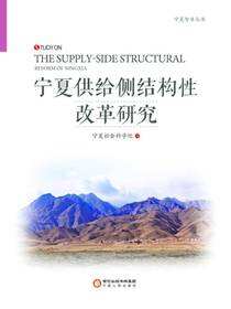 宁夏供给侧结构性改革研究