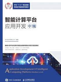 智能计算平台应用开发（中级）