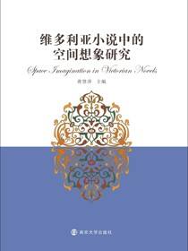 维多利亚小说中的空间想象研究
