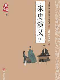 宋史演义(下册)
