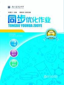 银川唐徕回中同步优化作业.九年级化学.下：人教版