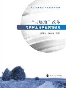 “三块地”改革与农村土地权益实现研究