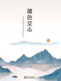 曙色文心