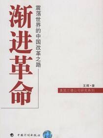 渐进革命：震荡世界的中国改革之路