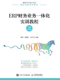 ERP财务业务一体化实训教程（金蝶KIS版）