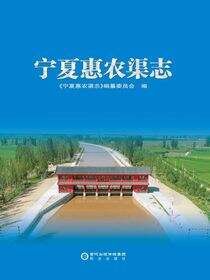 宁夏惠农渠志