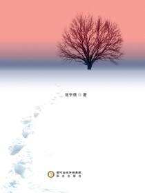 鸿爪雪泥