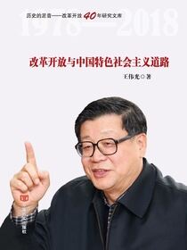 改革开放与中国特色社会主义道路（2019）