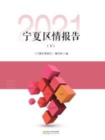 宁夏区情报告2021（下）