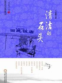 清洁的石头