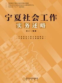 宁夏社会工作实务述略