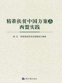 精准扶贫中国方案与西盟实践
