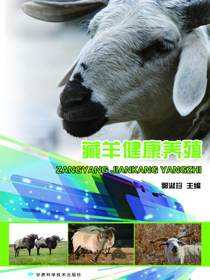 藏羊健康养殖