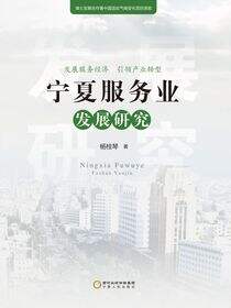 宁夏服务业发展研究