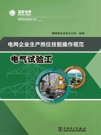 电网企业生产岗位技能操作规范·电气试验工