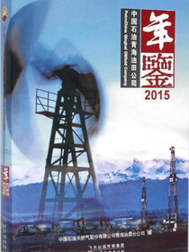 中国石油青海油田公司年鉴.2015