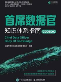 首席数据官知识体系指南