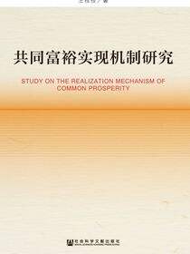 共同富裕实现机制研究