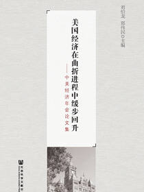 美国经济在曲折进程中缓步回升：中美经济年会论文集