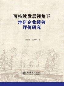可持续发展视角下地矿企业绩效评价研究