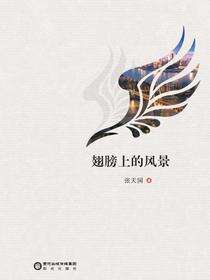 翅膀上的风景