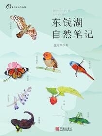 东钱湖自然笔记