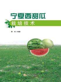 宁夏西甜瓜栽培技术