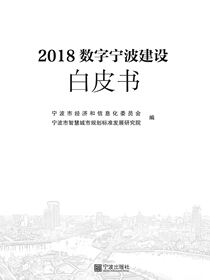 2018数字宁波建设白皮书