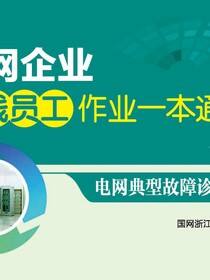 电网典型故障诊断与处理