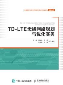TD-LTE无线网络规划与优化实务