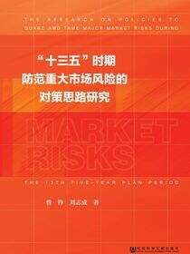 “十三五”时期防范重大市场风险的对策思路研究