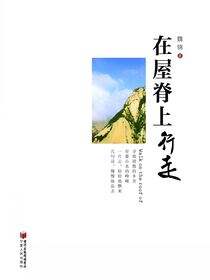 在屋脊上行走