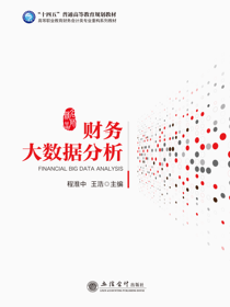 财务大数据分析