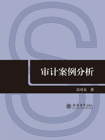 审计案例分析