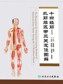 十四经筋—肌筋膜区带三关定位图解