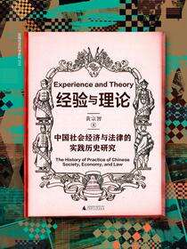 经验与理论：中国社会经济与法律的实践历史研究