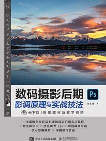 数码摄影后期影调原理与实战技法