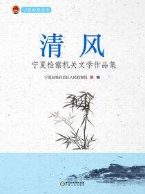 清风：宁夏检察机关文学作品集