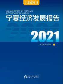 宁夏经济发展报告.2021