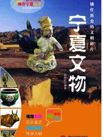 宁夏文物