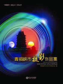 青铜峡市摄影作品集
