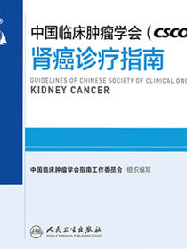 中国临床肿瘤学会(CSCO)肾癌诊疗指南2019