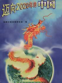 迈向2020年的中国