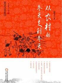从农村的冬天走到冬天