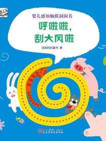 婴儿感知触摸洞洞书·呼啦啦，刮大风啦